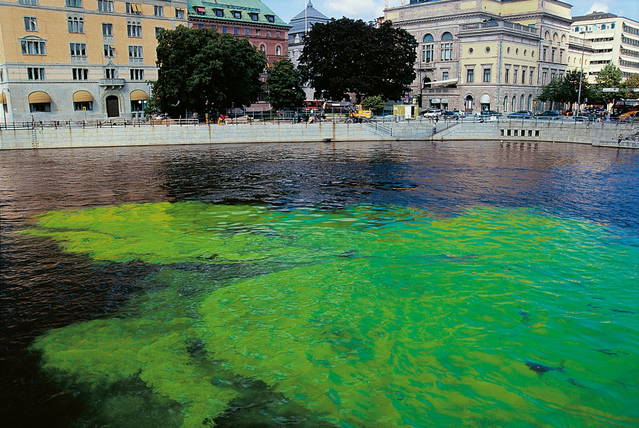 Green river, 1998 - Stockholm – 1998 - Photo: Olafur Eliasson