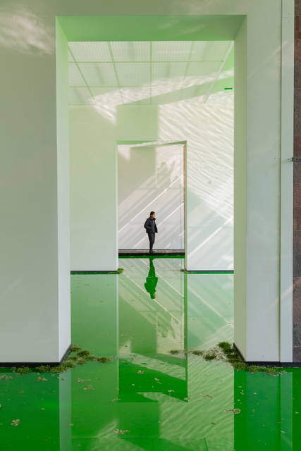 Life, 2021 - Fondation Beyeler, Riehen / Basel, Switzerland – 2021 - Photo: Pati Grabowicz