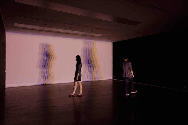 Your uncertain shadow (growing), 2010 - PKM Gallery, Seoul – 2012