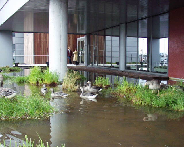 Mýrargarður, 2002 - deCode, Reykjavik – 2002