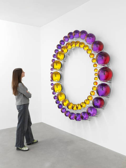 Successful coexistence beyond earth, 2025 - Studio Olafur Eliasson, Berlin  – 2025 - Photo: Jens Ziehe