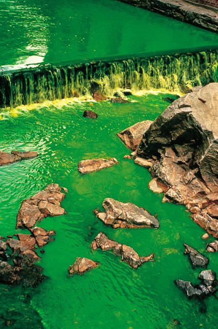 Green river, 1998 - Moss, Norway – 1998 - Photo: Olafur Eliasson