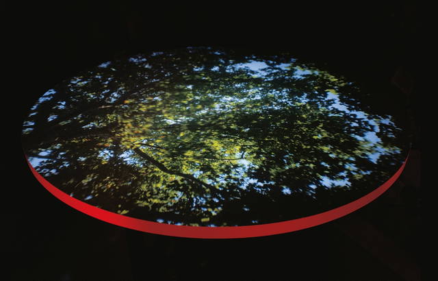 Camera obscura for the sky