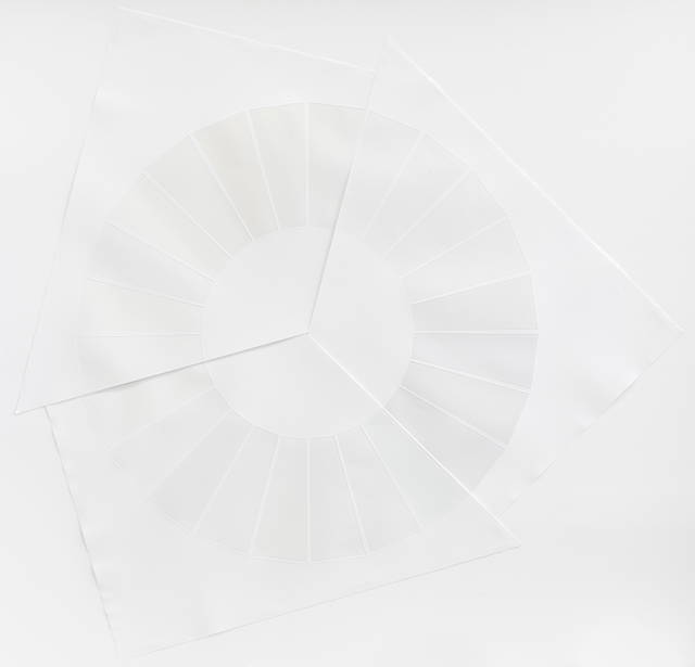 The white colour circle