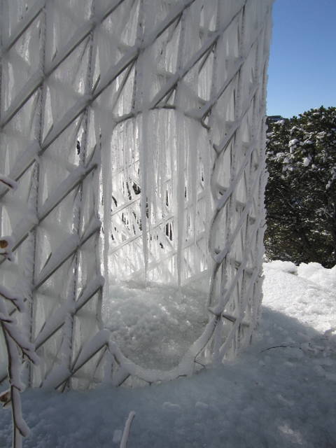 The glacierhouse effect versus the greenhouse effect, 2005 - Private collection, Santa Fe – 2005 - Photo: Andrew Gellatly