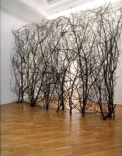The curious garden, 1997 - Kunsthalle Basel – 1997 - Photo: Andrea Stappert