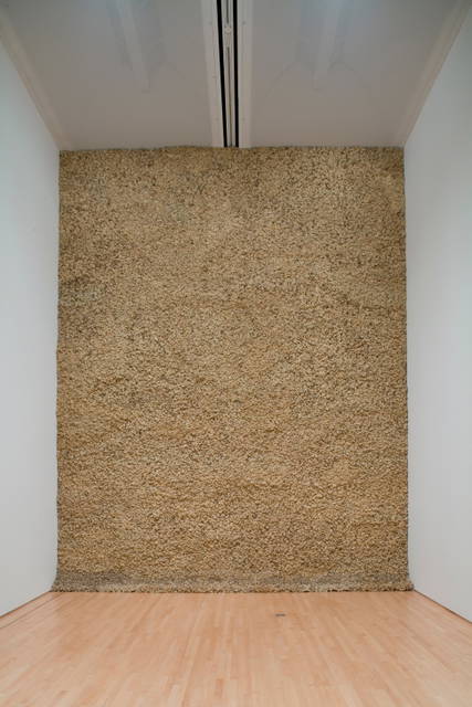 Moss wall - San Francisco Museum of Modern Art – 2007 - Photo: Ian Reeves / Courtesy of San Francisco Museum of Modern Art