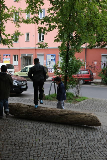 Berliner Treibholz, 2009 - Berlin – 2009-2010 - Photo: María del Pilar García Ayensa / Studio Olafur Eliasson