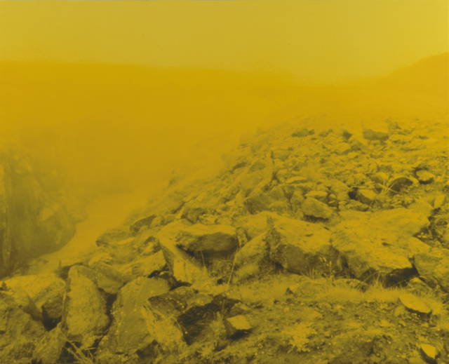 Yellow series, 1995, 1995, single print