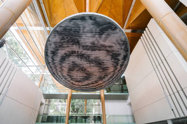Under the weather, 2022 - Auckland Art Gallery Toi o Tāmaki, Auckland, New Zealand – 2024 - Photo: David St George